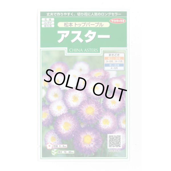 画像1: 送料無料　花の種　アスター　松本トップパープル　約190粒　(株)サカタのタネ　実咲250（026212） (1)