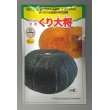 画像1: 送料無料　[かぼちゃ]　くり大将　100粒　トキタ種苗(株) (1)