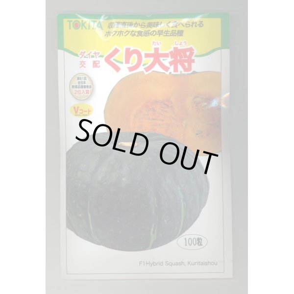 画像1: 送料無料　[かぼちゃ]　くり大将　100粒　トキタ種苗(株) (1)