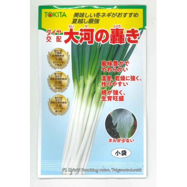 画像1: 送料無料　[ねぎ]　大河の轟き　5ml　裸種子(およそ675粒)　トキタ種苗(株) (1)