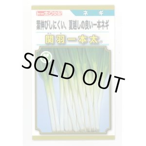 画像: 送料無料　[ねぎ]　関羽一本太　5ml(およそ1,085粒)　(株)トーホク