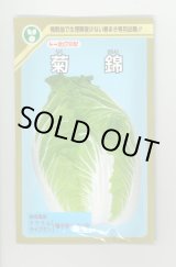 画像: 送料無料　[白菜]　菊錦　20ml　(株)トーホク