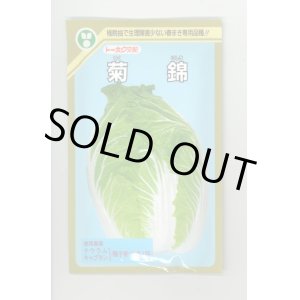 画像: 送料無料　[白菜]　菊錦　20ml　(株)トーホク