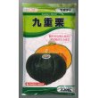 画像1: 送料無料　[かぼちゃ]　九重栗　500粒　カネコ交配 (1)