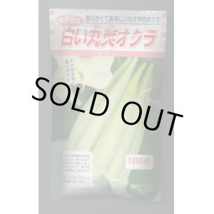 画像: 送料無料　[オクラ]　白い丸莢オクラ　1000粒　松永種苗(株)