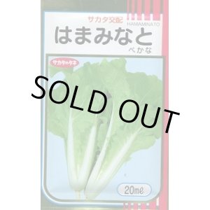 画像: 送料無料　[葉物]　はまみなとべかな　20ml　サカタのタネ(株)