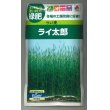 画像1: 送料無料　[緑肥]　らい麦　ライ太郎　60ml　タキイ種苗(株) (1)