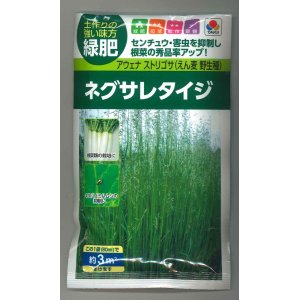 画像: 送料無料　[緑肥]　ネグサレタイジ　60ml　タキイ種苗(株)