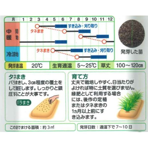 画像2: 送料無料　[緑肥]　ネグサレタイジ　60ml　タキイ種苗(株) (2)