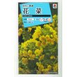 画像1: 送料無料　花の種　花菜　京都伏見寒咲　タキイ種苗(株) (1)