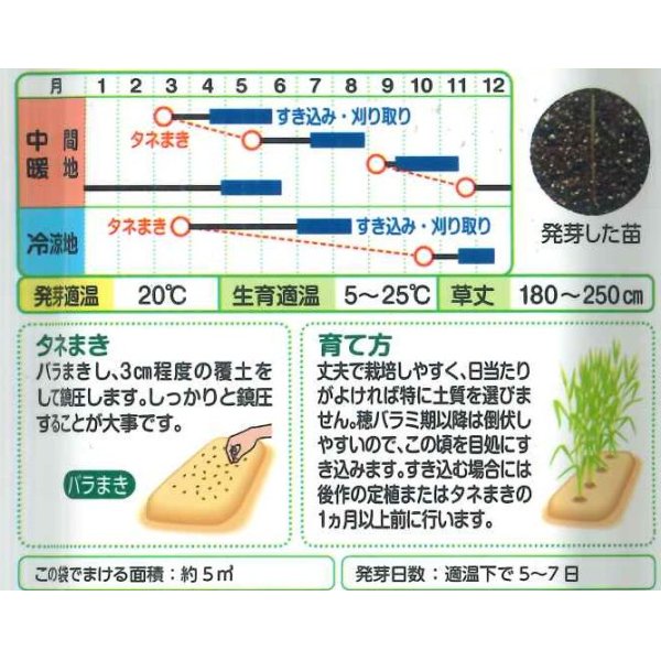 画像2: 送料無料　[緑肥]　らい麦　ライ太郎　60ml　タキイ種苗(株) (2)