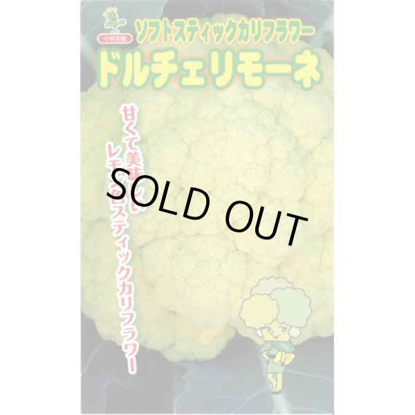 画像1: 送料無料　[カリフラワー]　ドルチェリモーネ　0.5ml　小林種苗 (1)
