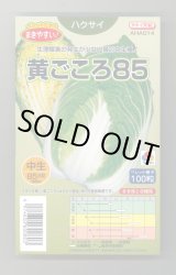 画像: 送料無料　[白菜]　黄ごころ85　ペレット100粒　タキイ種苗(株)