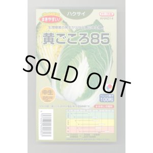 画像: 送料無料　[白菜]　黄ごころ85　ペレット100粒　タキイ種苗(株)