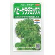 画像1: 送料無料　[レタス]　ベビーサラダミックス　約2500粒　(株)サカタのタネ　実咲300（003037） (1)