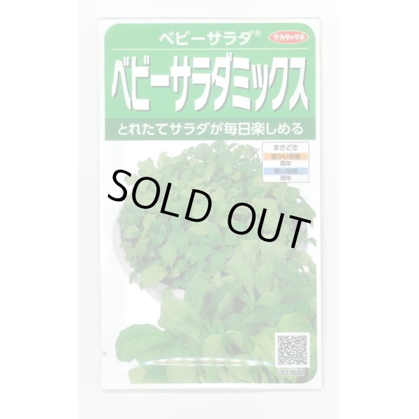 画像1: 送料無料　[レタス]　ベビーサラダミックス　約2500粒　(株)サカタのタネ　実咲350（003037） (1)