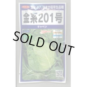 画像: 送料無料　[キャベツ]　金系201号　ペレット　100粒　(株)サカタのタネ　実咲PRO