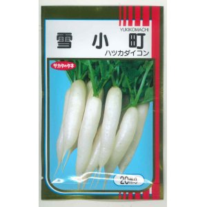 野菜種 大根 の通販 グリーンロフトネモト通信販売サイト (Page 2)