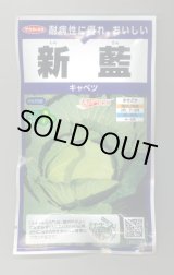 画像: 送料無料　[キャベツ]　新藍　ペレット　100粒　(株)サカタのタネ　実咲PRO