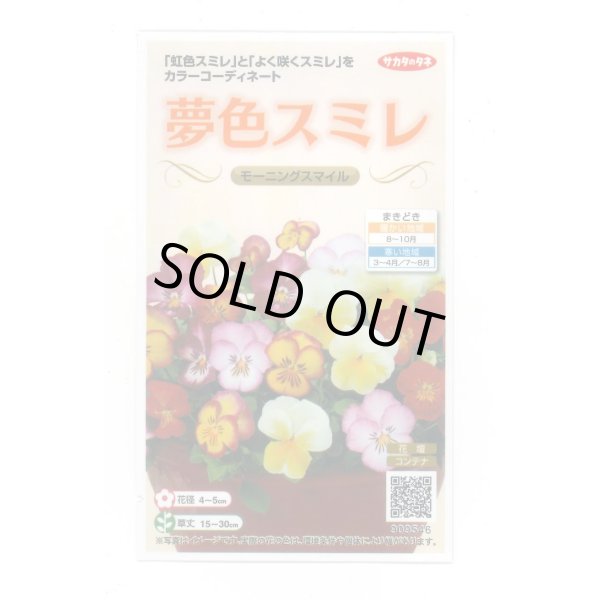 画像1: 送料無料　花の種　パンジー　夢色スミレ　モーニングスマイル　約50粒　(株)サカタのタネ　実咲500（105173） (1)