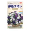 画像1: 送料無料　花の種　パンジー　夢色スミレ　オーシャン　約50粒　(株)サカタのタネ　実咲500（105174） (1)