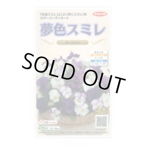 画像: 送料無料　花の種　パンジー　夢色スミレ　オーシャン　約50粒　(株)サカタのタネ　実咲500（105174）