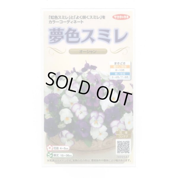 画像1: 送料無料　花の種　パンジー　夢色スミレ　オーシャン　約50粒　(株)サカタのタネ　実咲500（105174） (1)