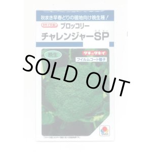 画像: 送料無料　[ブロッコリー]　チャレンジャーSP　150粒　タキイ種苗(株)　DF