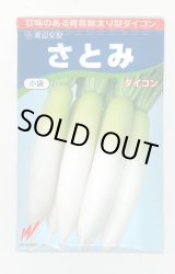 画像: 送料無料　大根　さとみ大根　300粒　渡辺交配