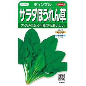 画像: 送料無料　[ほうれんそう]　サラダほうれん草　ディンプル　約750粒　(株)サカタのタネ　実咲200（003006）