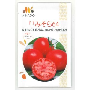 画像: 送料無料　[トマト]　大玉トマト　みそら64　8粒　ヴィルモランみかど