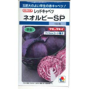 画像: 送料無料　[キャベツ]　ネオルビーSP　150粒　タキイ種苗(株)　DF