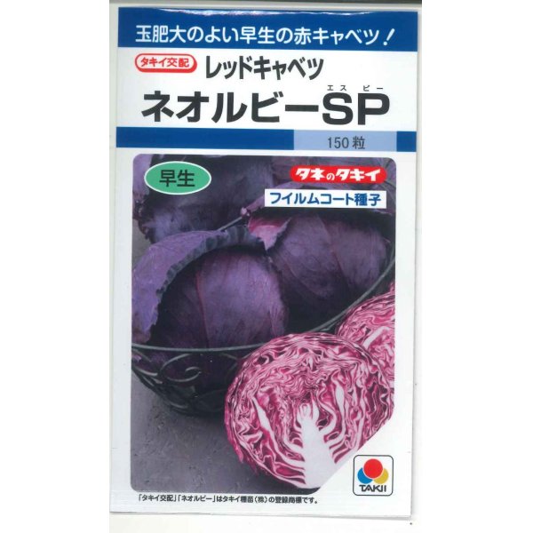 画像1: 送料無料　[キャベツ]　ネオルビーSP　150粒　タキイ種苗(株)　DF (1)