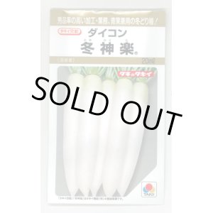 画像: 送料無料　[大根]　冬神楽　20ml　タキイ種苗(株)