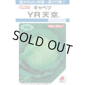 画像: 送料無料　[キャベツ]　YR天空　約150粒　タキイ種苗（株）　DF