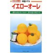 画像1: 送料無料　[トマト/中玉トマト]　イエローオーレ　100粒　カネコ交配 (1)