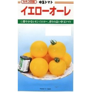 画像: 送料無料　[トマト/中玉トマト]　イエローオーレ　100粒　カネコ交配