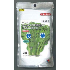 画像: 送料無料　[葉物]　秋華　2dl　タキイ種苗(株)