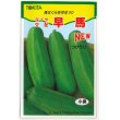 画像1: 送料無料　[瓜類]　NEW早馬　30粒　トキタ種苗（株） (1)