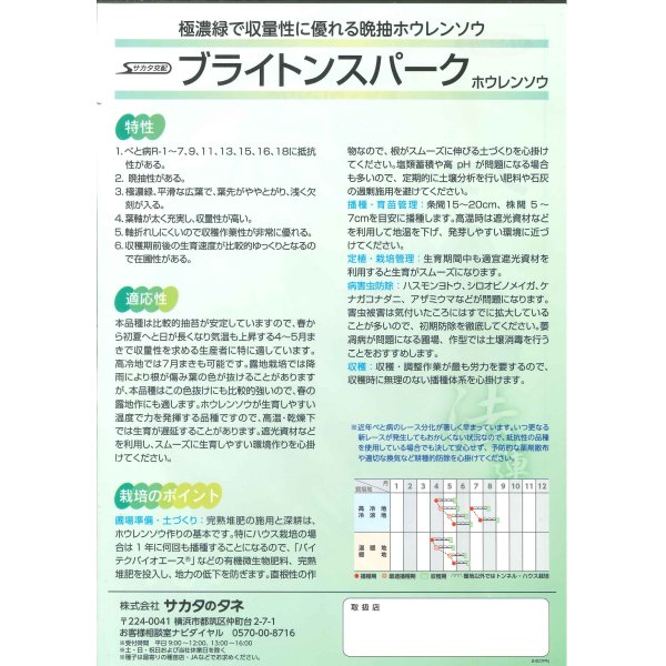 画像3: [ほうれんそう]　ブライトンスパーク　3万粒　種子サイズ：M（株）サカタのタネ (3)