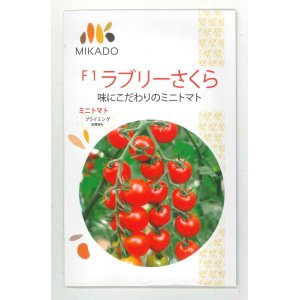 画像: 送料無料　[トマト/ミニトマト]　ミニトマト　ラブリーさくら　100粒　ヴィルモランみかど