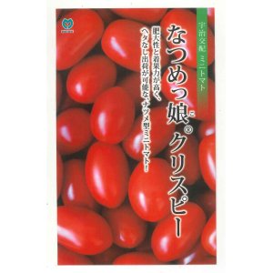 画像: 送料無料　[トマト/ミニトマト]　ミニトマト　なつめっ娘クリスピー　10粒　丸種（株）