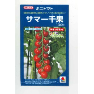 画像: 送料無料　[トマト/ミニトマト]　サマー千果　1000粒　タキイ種苗(株)