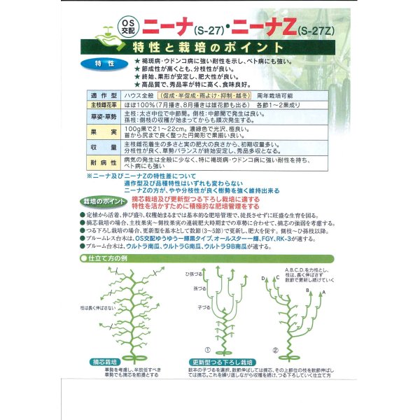 画像3: 送料無料　[キュウリ]　ニーナZ　350粒　（株）埼玉原種育成会 (3)