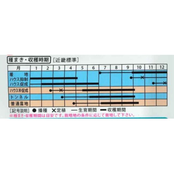 画像4: 送料無料　[オクラ]　ストロンググリーン　10ml（約110粒)（株）大和農園 (4)