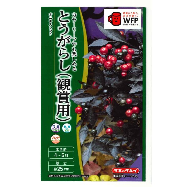 画像1: 送料無料　花の種　とうがらし（観賞用）オニキスレッド　10粒　タキイ種苗（株）NL400 (1)