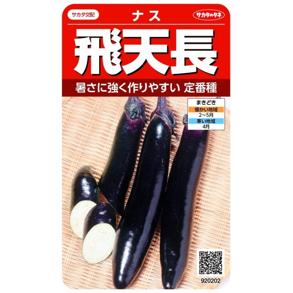 画像1: 送料無料　[なす]　飛天長　約60粒　(株)サカタのタネ　実咲550（002833） (1)