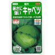 画像1: 送料無料　[キャベツ]　藍天　0.8ml（約85粒）（株）サカタのタネ　実咲450（003731） (1)