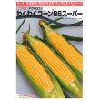 画像2: 送料無料　[とうもろこし]　わくわくコーン86スーパー　2000粒　カネコ交配 (2)