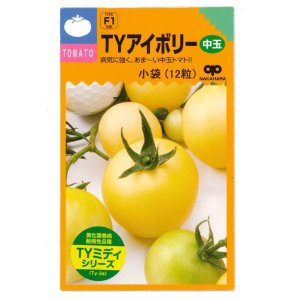 画像: 送料無料　[トマト/ミニトマト]　TYアイボリー　12粒　中原採種場（株）